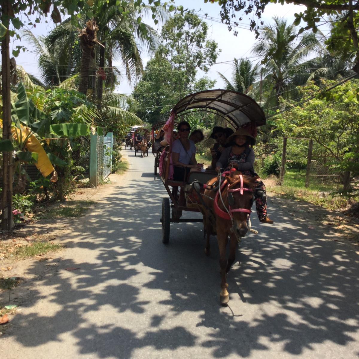 upload/images/destination/mekong delta/explore Mekong (3).JPG